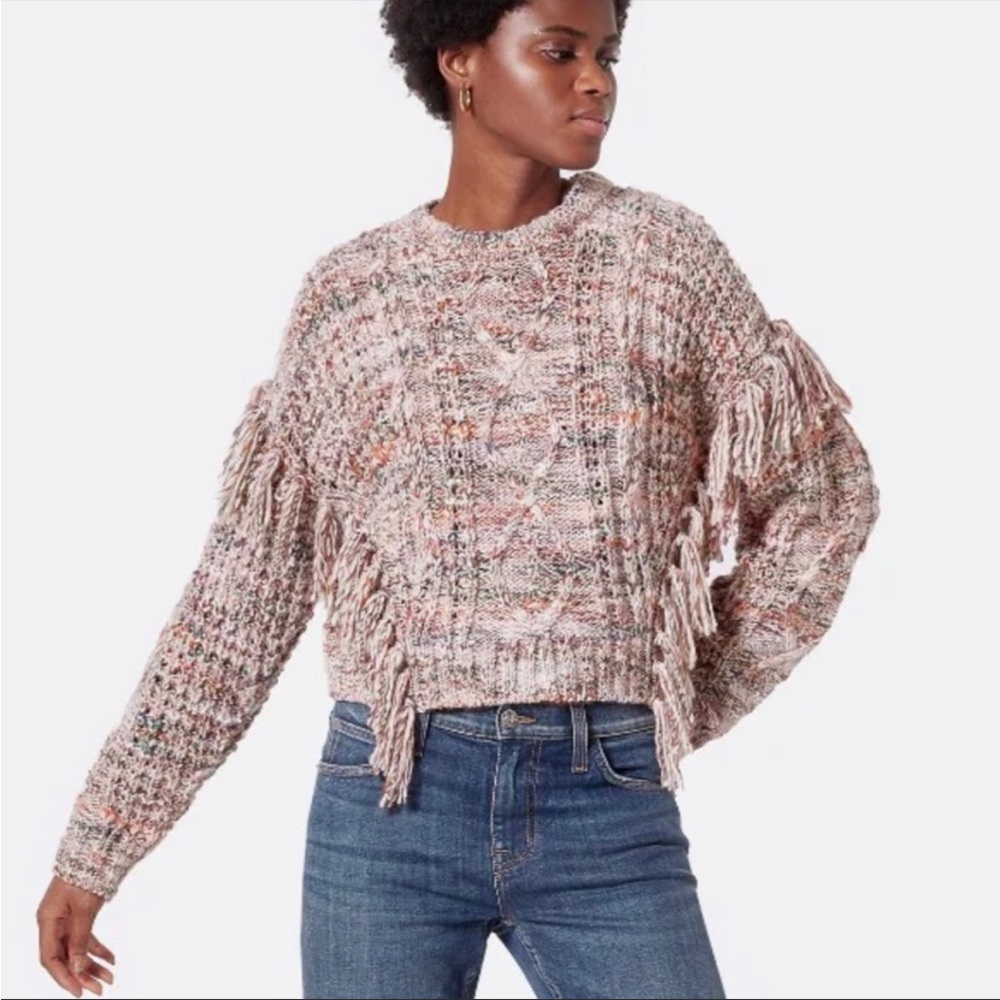 Joie Fringe Sweater